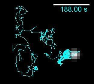 Single particle tracking and dynamic heterogeneity of acetylcholine receptors on live muscle cell membrane