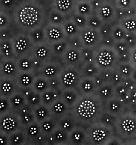 Long-ranged attraction between charged polystyrene spheres at aqueous interfaces