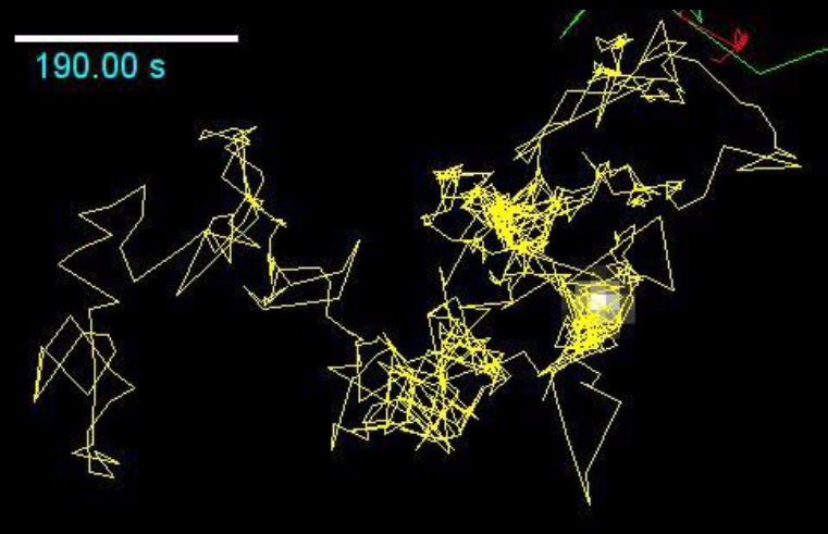 Single particle tracking and dynamic heterogeneity of ganglioside GM1 on live muscle cell membrane