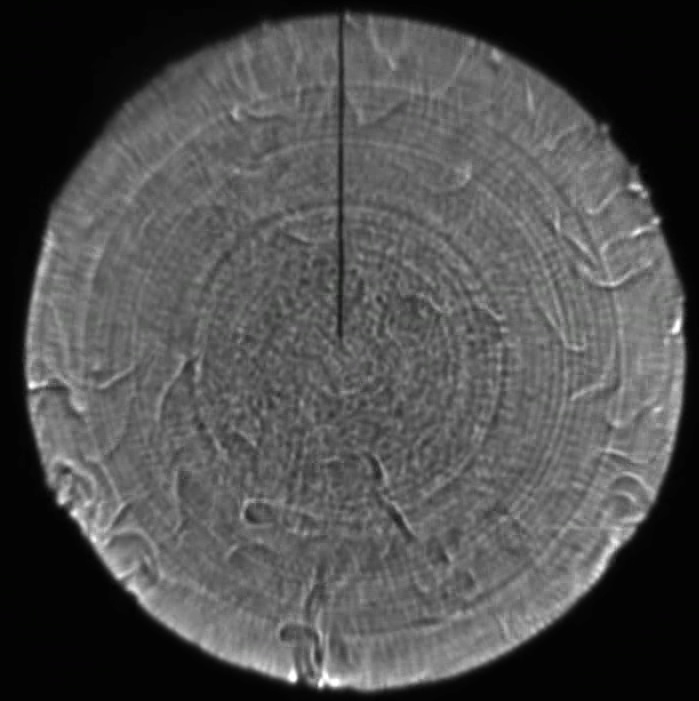 Convective quakes and their generating mechanism